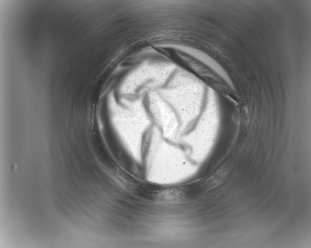 X0000064750168200603031743