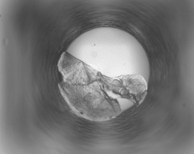 X0000064750169200603031743