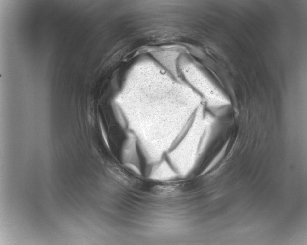 X0000064750170200603031743