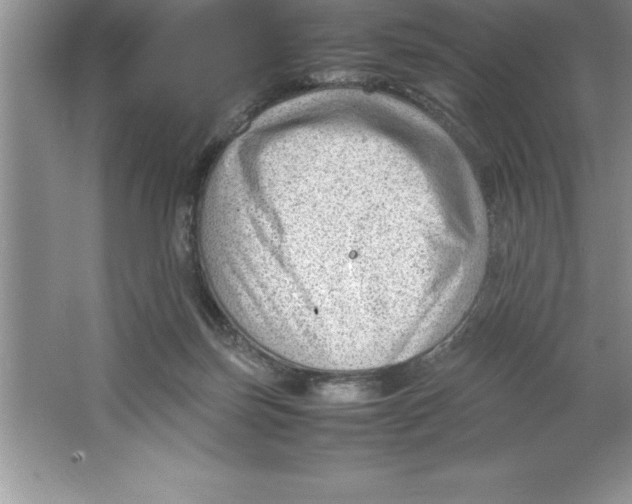 X0000064750171200603031743