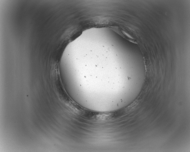 X0000064750172200603031743