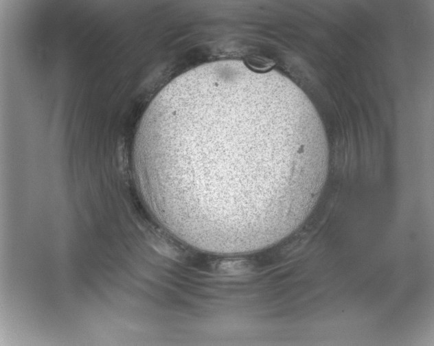 X0000064750173200603031743