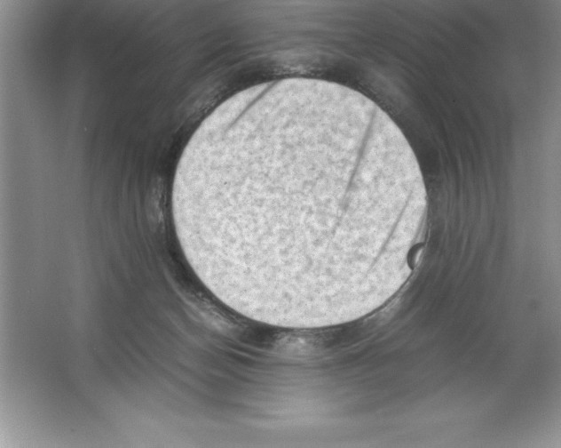 X0000064750174200603031743