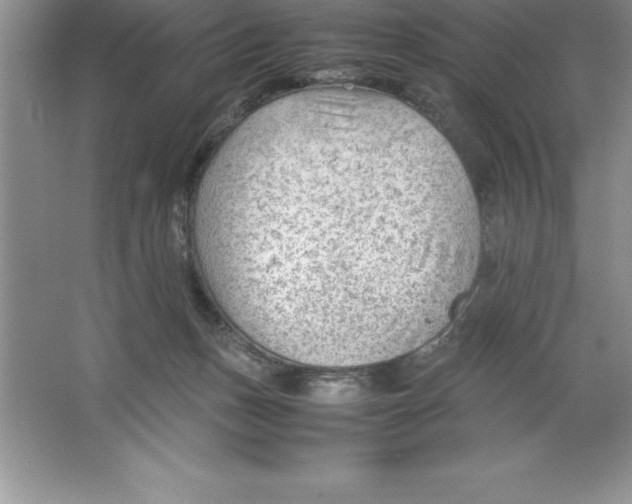 X0000064750175200603031743