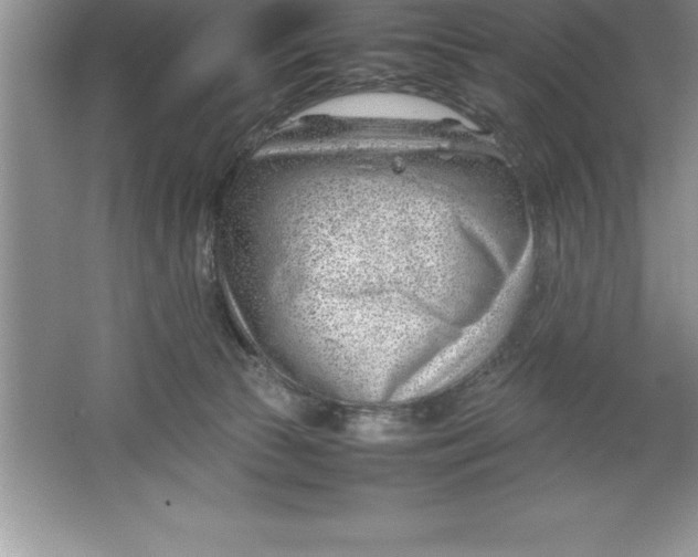 X0000064750177200603031743