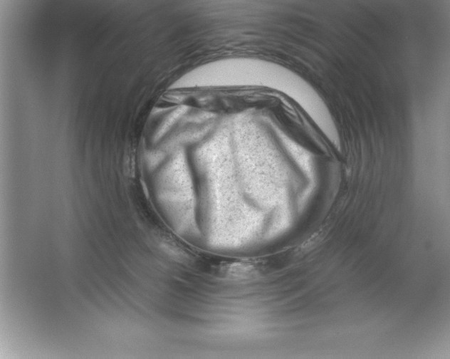 X0000064750180200603031743