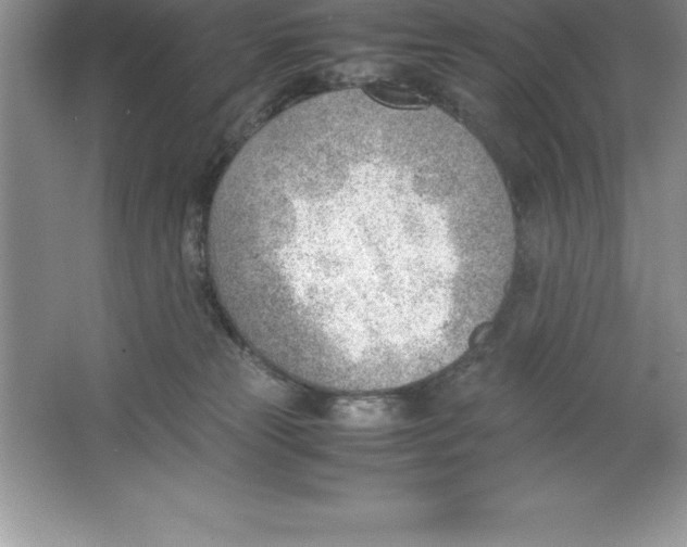 X0000064750181200603031743