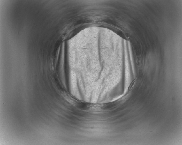 X0000064750182200603031743