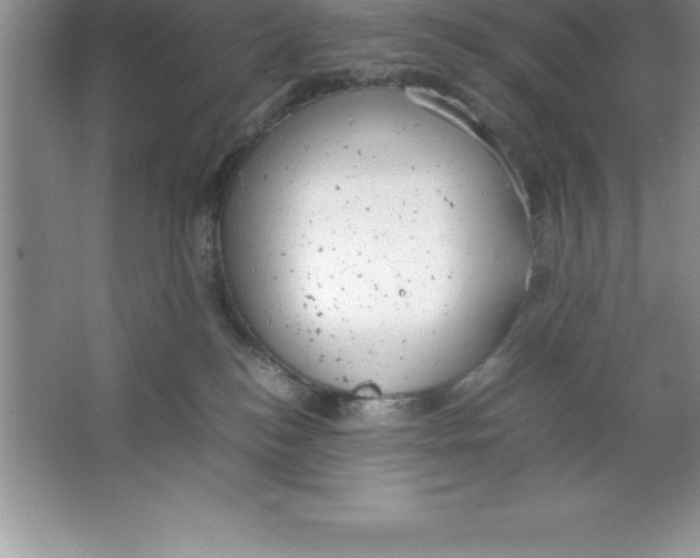 X0000064750184200603031743