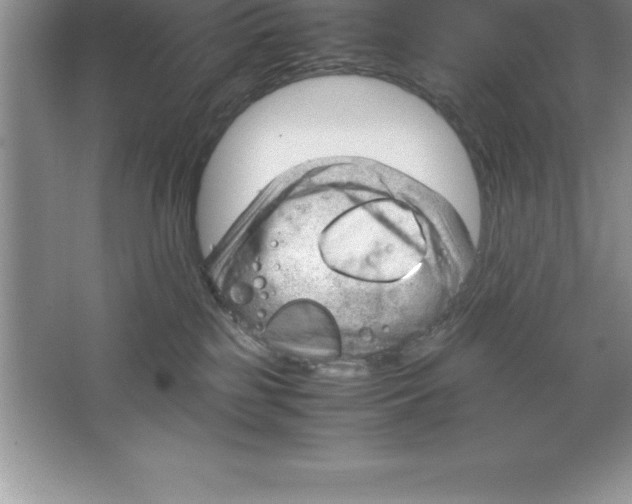 X0000064750185200603031743