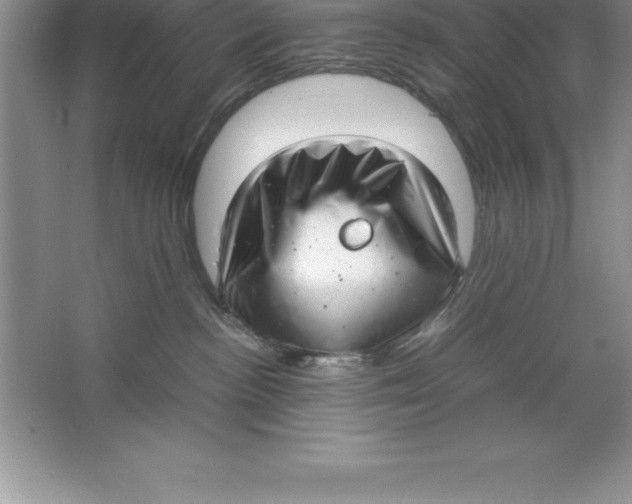 X0000064750188200603031743