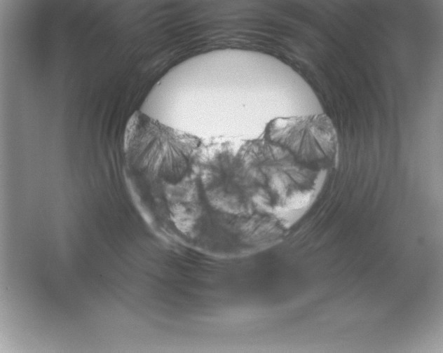 X0000064750189200603031743