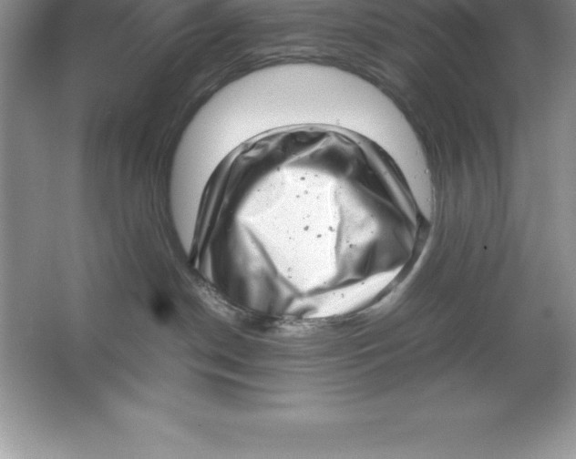 X0000064750190200603031743