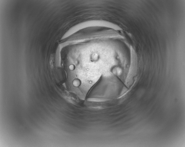 X0000064750191200603031743