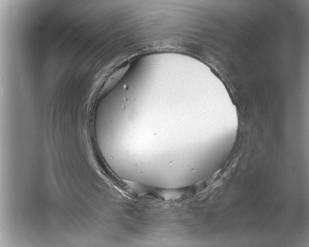 X0000064750193200603031742