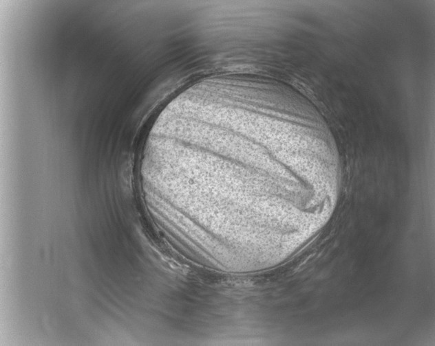 X0000064750194200603031742