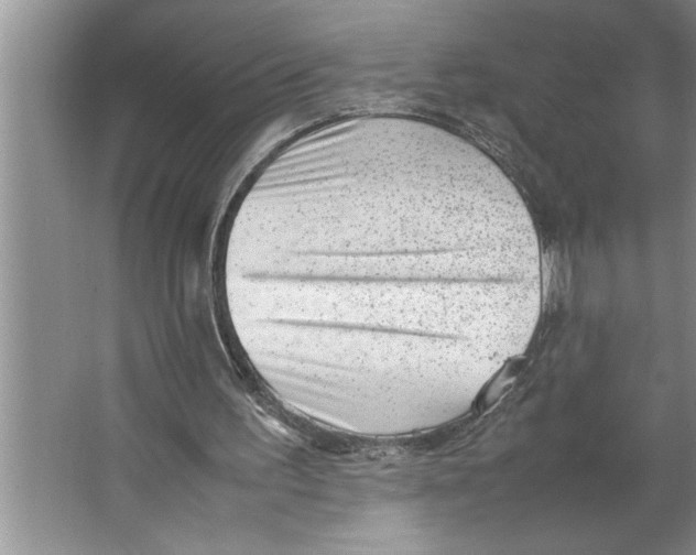 X0000064750195200603031742