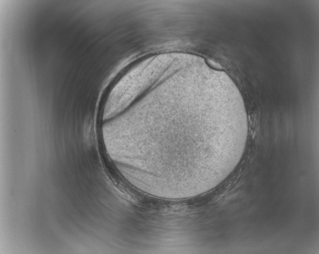 X0000064750196200603031742