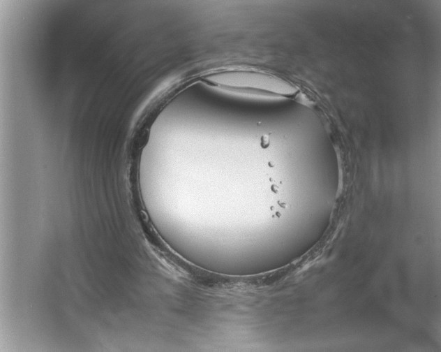 X0000064750197200603031742