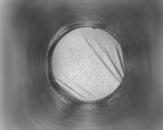 X0000064750198200603031742