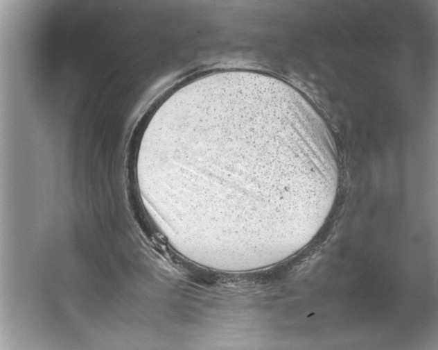 X0000064750199200603031742