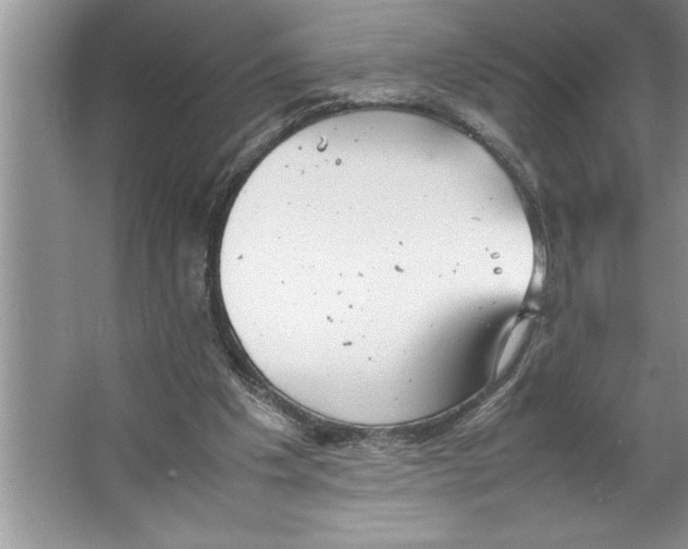 X0000064750201200603031742