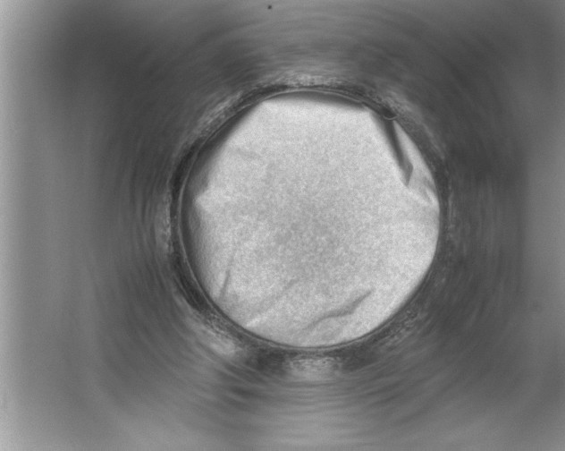 X0000064750202200603031742