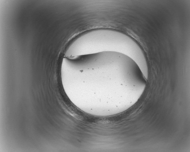 X0000064750203200603031742