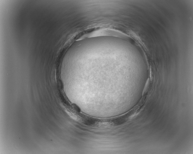 X0000064750205200603031742