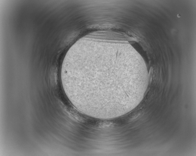 X0000064750206200603031742