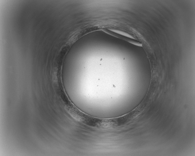 X0000064750209200603031742