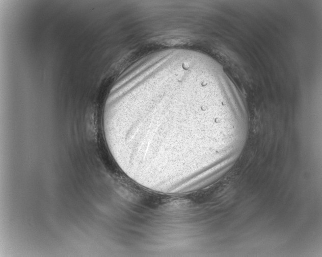 X0000064750210200603031742