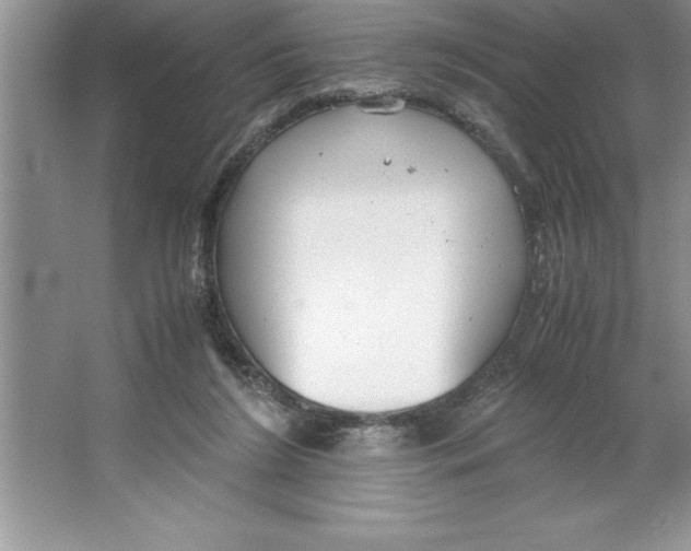 X0000064750212200603031742