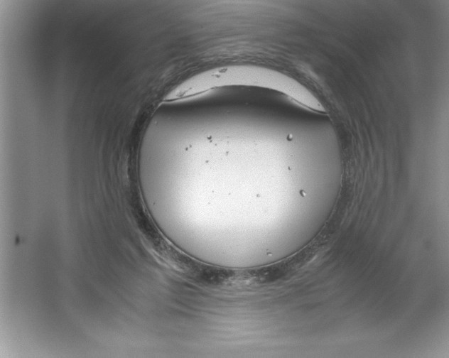 X0000064750213200603031742