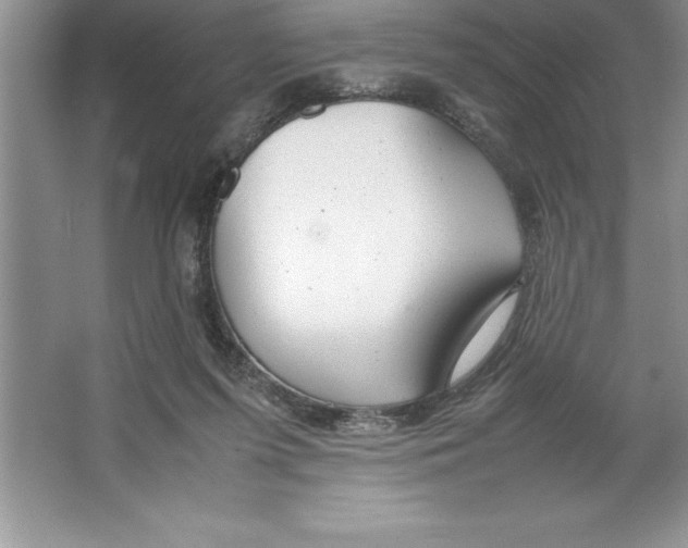 X0000064750215200603031742