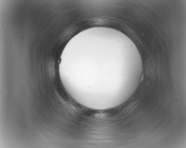 X0000064750216200603031742