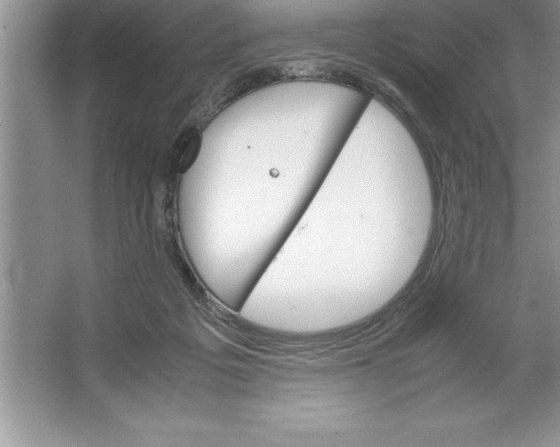 X0000064750217200603031742