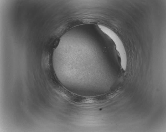 X0000064750219200603031742