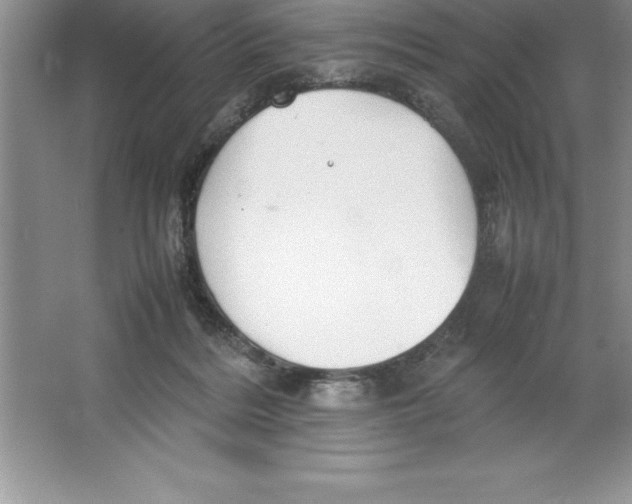 X0000064750220200603031742