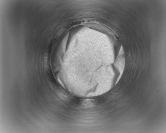 X0000064750222200603031742