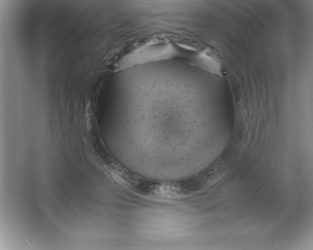 X0000064750223200603031742