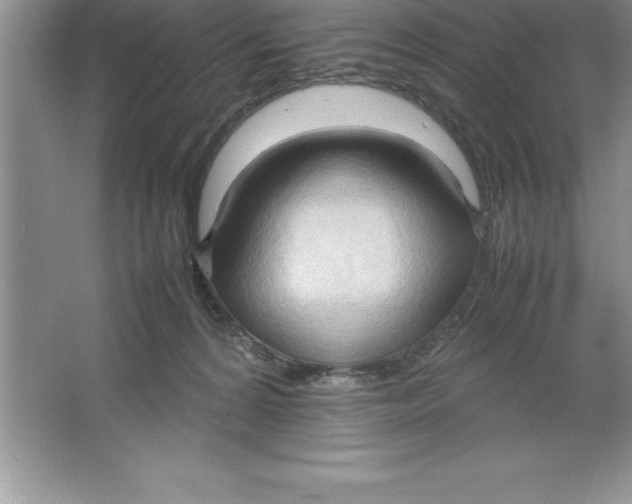 X0000064750224200603031742