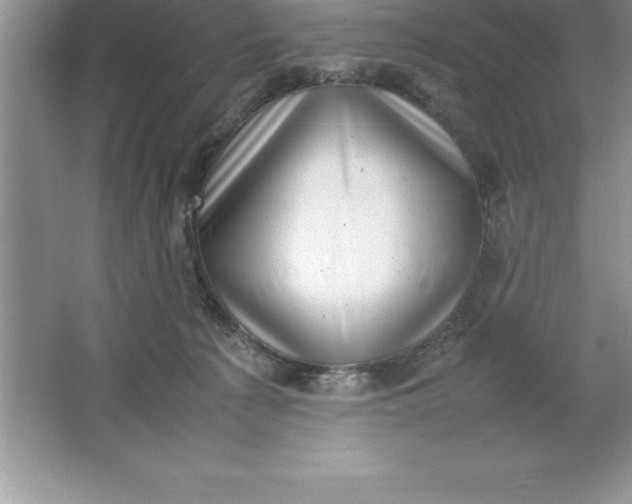 X0000064750225200603031742