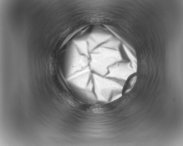 X0000064750228200603031742