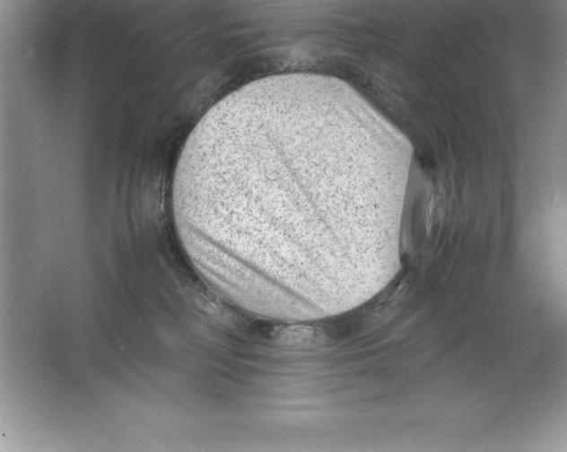 X0000064750230200603031742