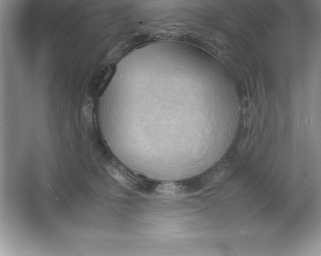 X0000064750231200603031742