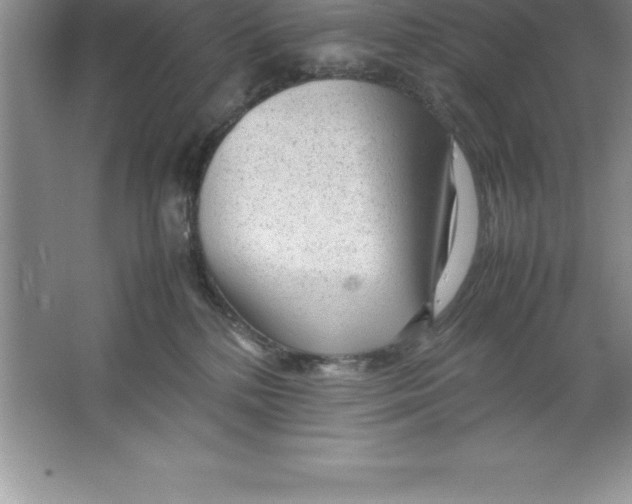 X0000064750232200603031741