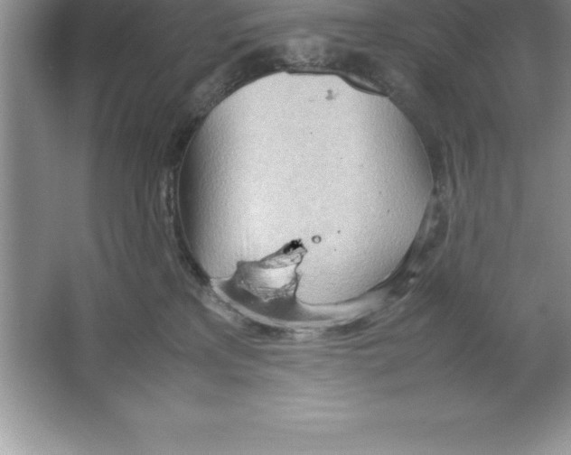 X0000064750233200603031741