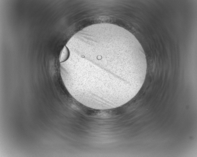 X0000064750236200603031741