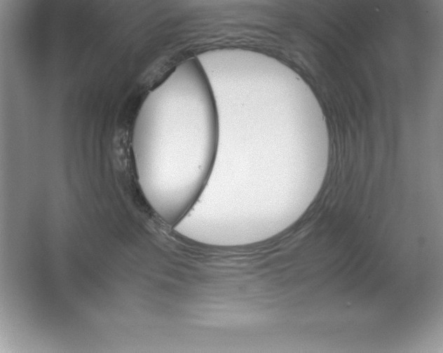 X0000064750237200603031741